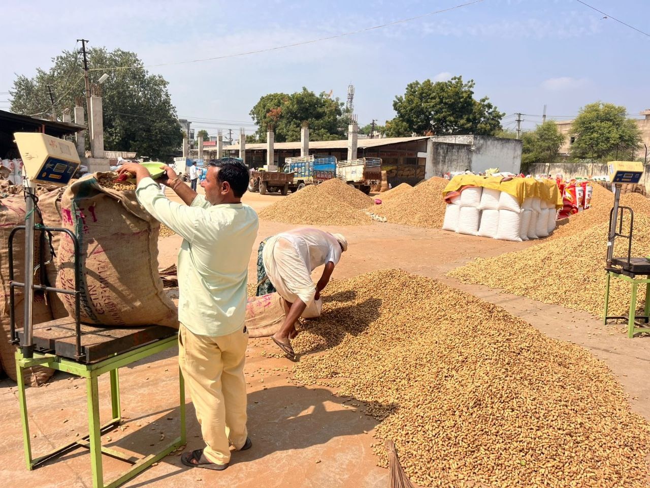 प्रोसेसिंग यूनिट्स खुलें तो बदले किसानों की किस्मत