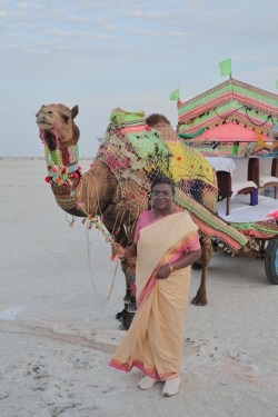 राष्ट्रपति ने धोरडो के सफेद रण को निहारा - image