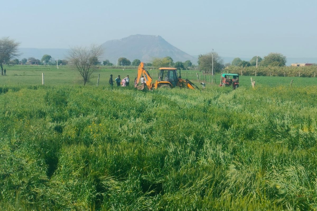 राजस्थान में यहां प्रशासन ने खड़ी फसल पर चलाया बुलडोजर, जानिए क्या है माजरा