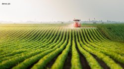 high-tech farming : jabalpur में हाईटेक हो रही खेती: डिग्रियां लेकर युवा लौटे
‘खेत-खलिहान’ - image