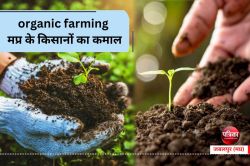 organic farming मप्र के किसानों का कमाल, बढ़ा दिया 7 हजार एकड़ जैविक खेती का रकबा - image