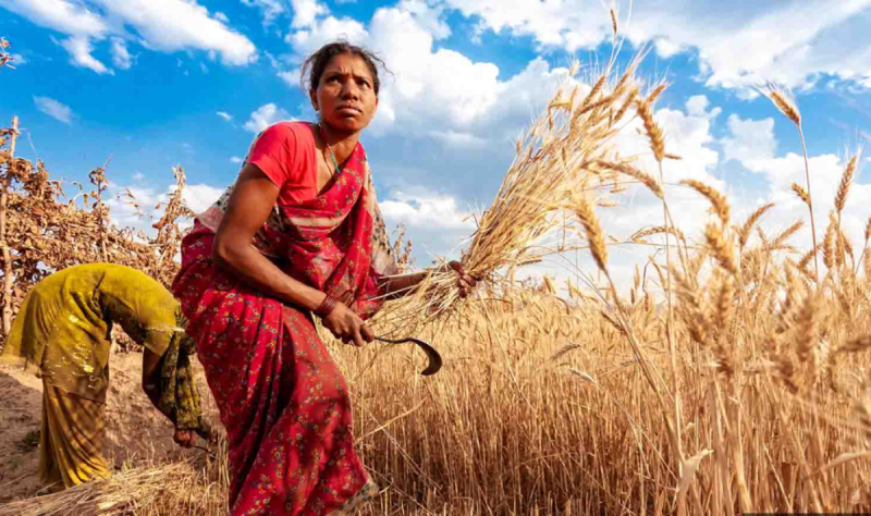Farmers have a huge debt of Rs 662 crore
