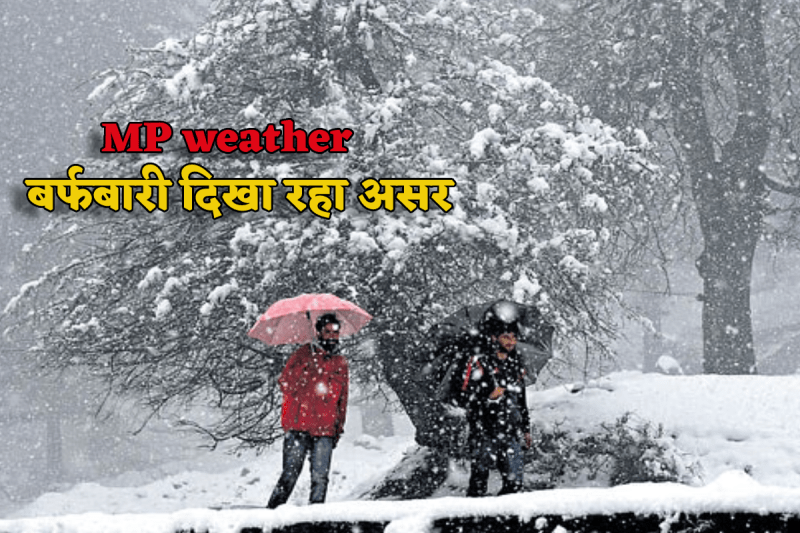 MP Weather News
