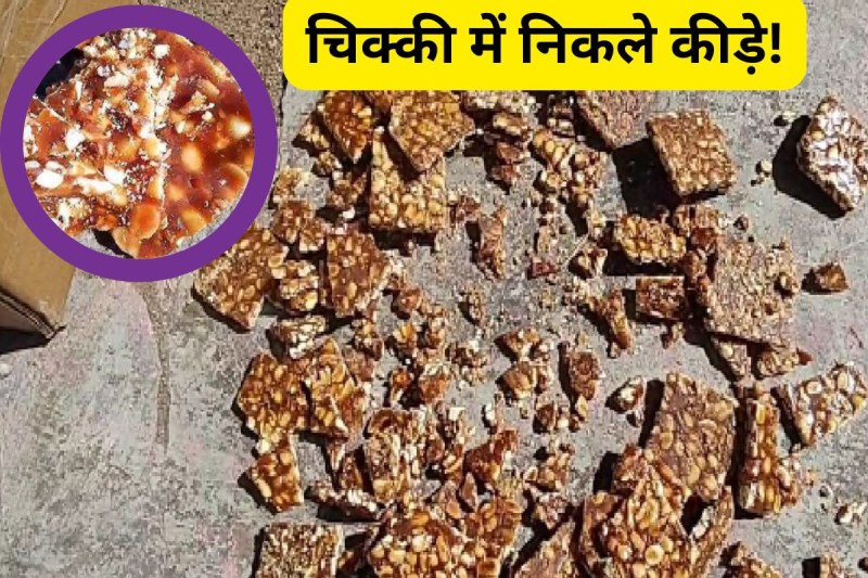 Worms found in peanut chikki distributed in anganwadi in chhatarpur mp
