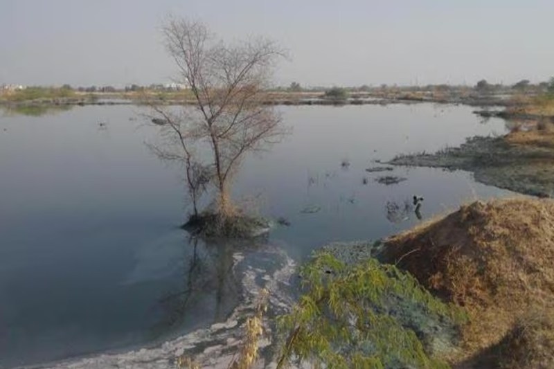 pollution in Jojari river