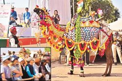 रामदेव पशु मेले में इस बार ऊंटों की संख्या 2 हजार पार, कलाबाजी के करतब देखकर
विदेशी पर्यटक भी हुए हैरान - image