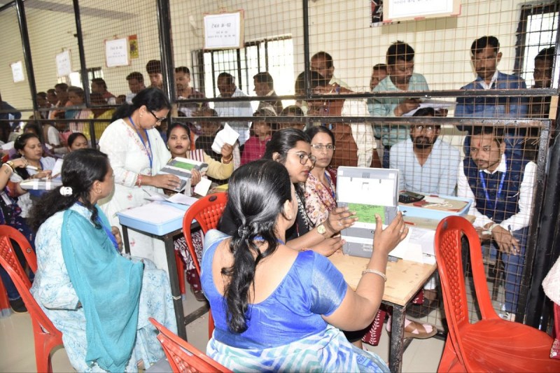 cg nikay chunav result