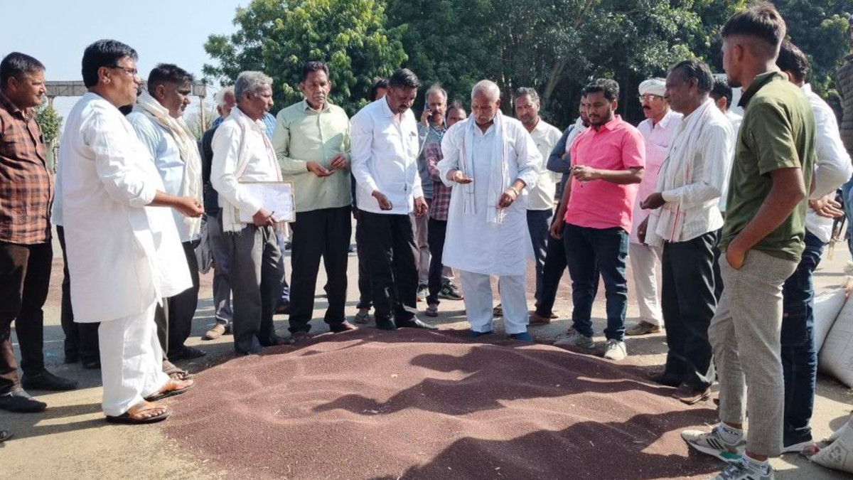 नमी से नई सरसों के नरम हो रहे भाव, किसानों को पुरानी के अधिक मिल रहे दाम, जानें
मंडी भाव