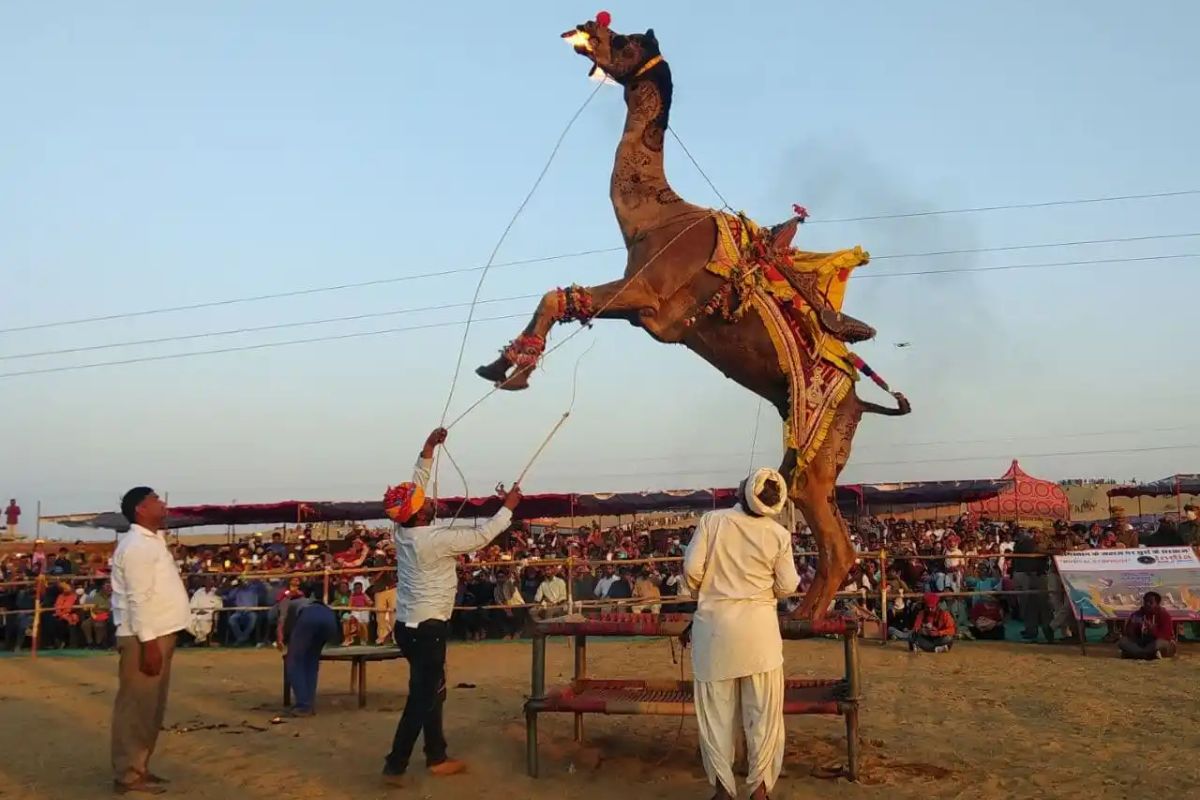 Thar Festival 2025: थार महोत्सव कब से होगा शुरू, जानें इस बार क्या होगा खास?