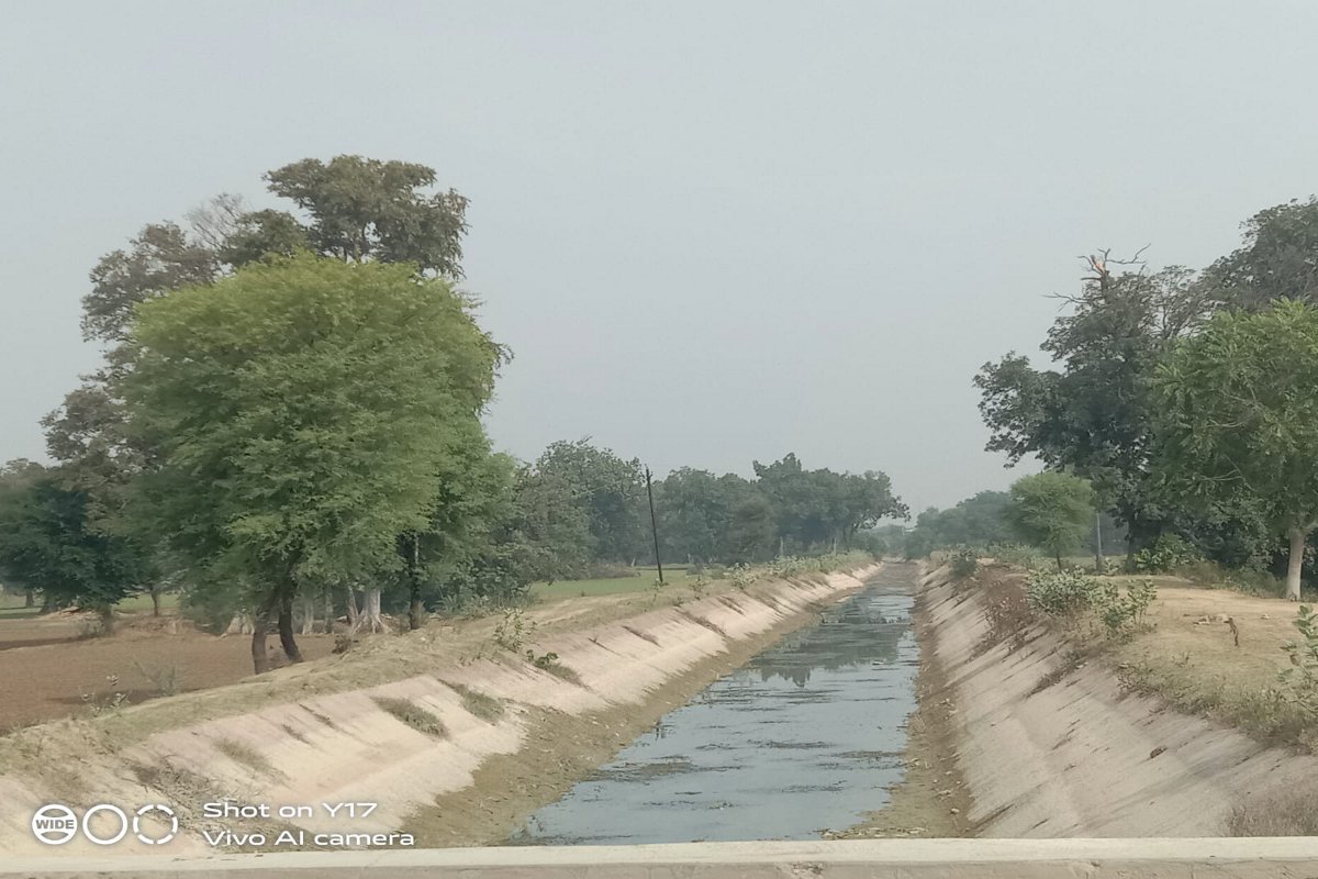 हरपुरा नहर बंद, गेहूं को अंतिम सिंचाई की जरूरत