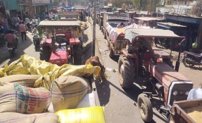 होली को देखते हुए मंडी में पहुंची बंपर आवक, मंडी परिसर में कम पडऩे लगी जगह