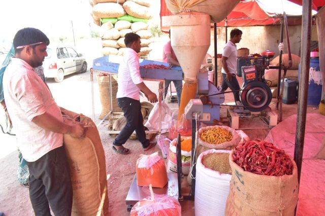 Such faith in the chilli fair of Nagaur, buyers coming from far away places, purity made its mark