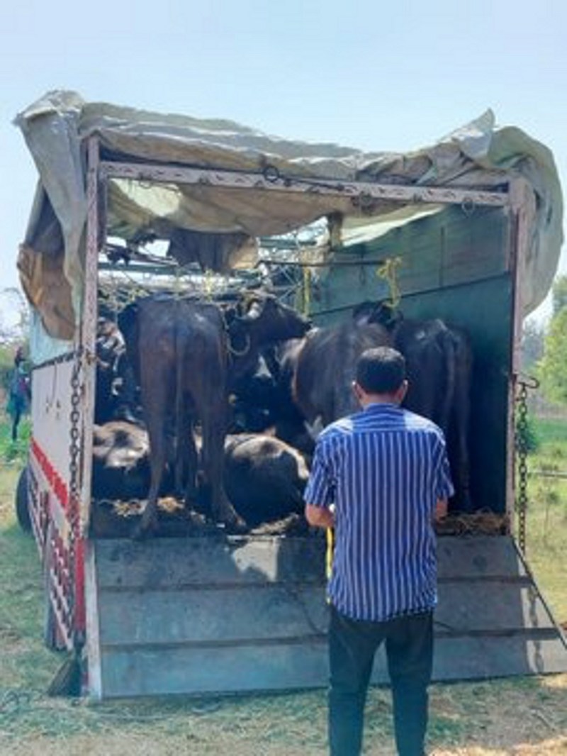 अलग-अलग कार्रवाई कार्रवाई चार वाहन पकड़ाए