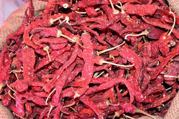 Such faith in the chilli fair of Nagaur, buyers coming from far away places, purity made its mark