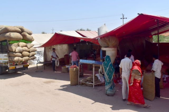 Such faith in the chilli fair of Nagaur, buyers coming from far away places, purity made its mark