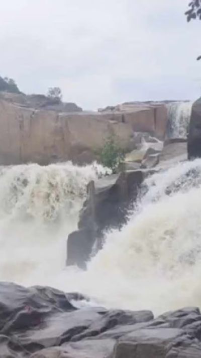 Short video poster image