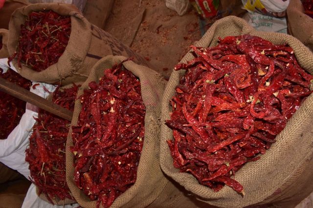 Such faith in the chilli fair of Nagaur, buyers coming from far away places, purity made its mark