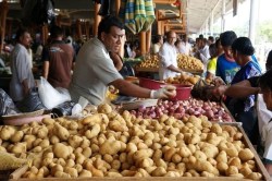 UP Potato Price: होली-रमजान में आलू के दाम उछले, ₹25/kg पहुंचे भाव - image