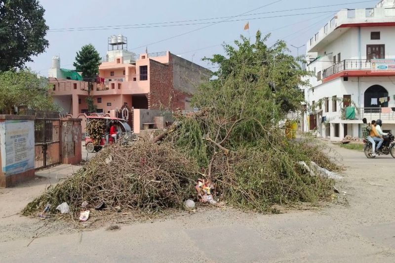रंगों का त्योहार: दुर्लभ शूल योग में होगा इस बार होलिका का दहन Festival of colours: This time Holika will be burnt in a rare Shool Yog