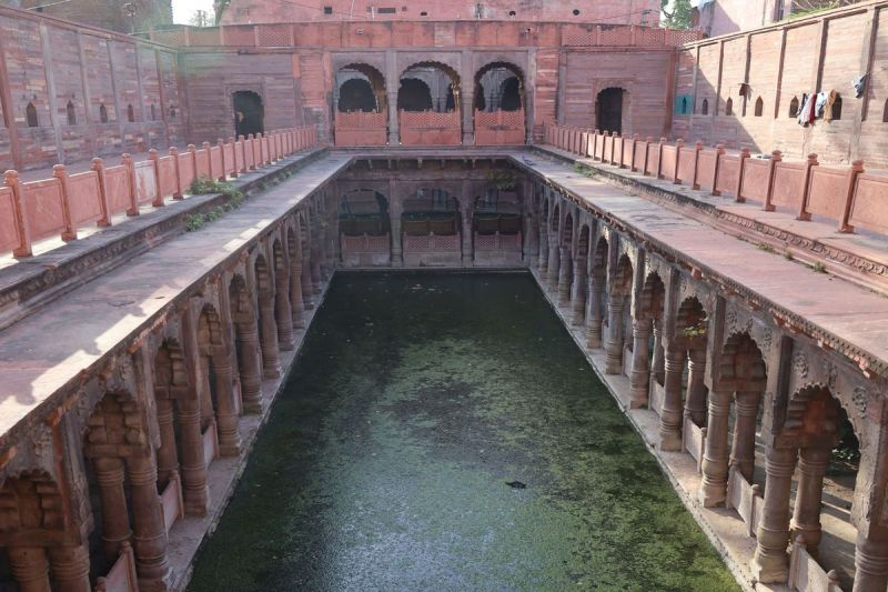 पहचान को तरस रहीं धौलपुर की ऐतिहासिक बावडिय़ां, जानकारी तक का बोर्ड नहीं Dholpur's historic stepwells are yearning for recognition, there is not even an information board