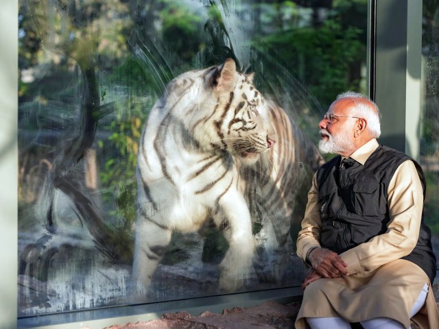 Prime Minister inaugurated the animal conservation center Vantara