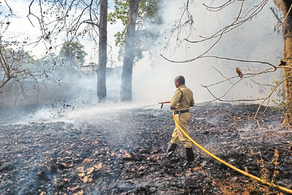 CG News: एशिया के सबसे बड़े काष्ठागार में लगी भीषण आग, लोगों में मची अफरा-तफरी