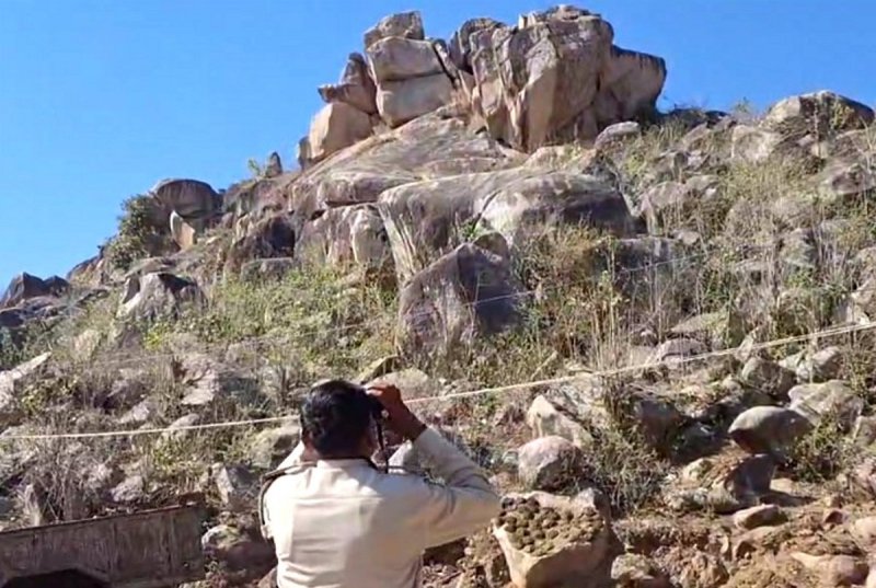 जांच करते वन विभाग के अ​धिकारी