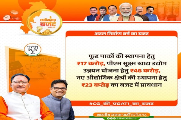 CG Budget 2025: वित्त मंत्री ओपी चौधरी की बड़ी घोषणा, देखिए छत्तीसगढ़ की जनता को बजट में क्या-क्या मिला?