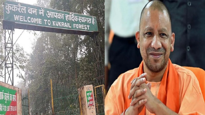 लखनऊ में बनेगी देश की पहली नाइट सफारी, सीएम योगी का ड्रीम प्रोजेक्ट