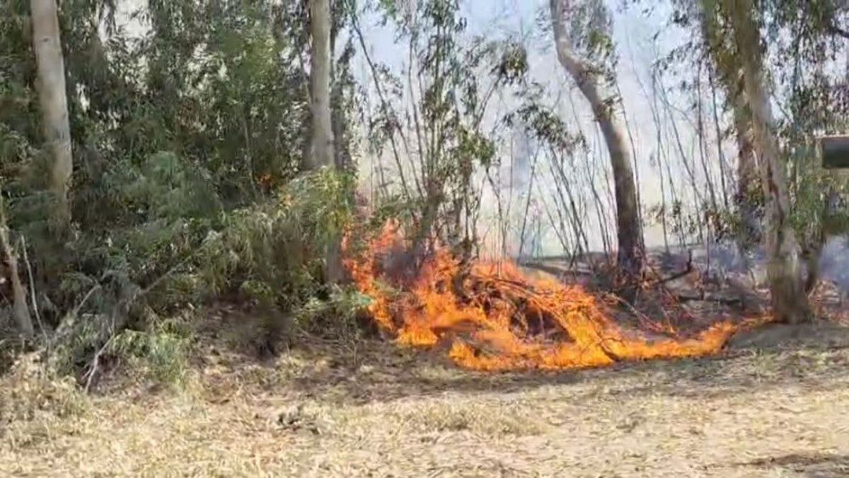 Watch Video: ढींगण खड़ीन में 24 घंटे बाद काबू में आई आग