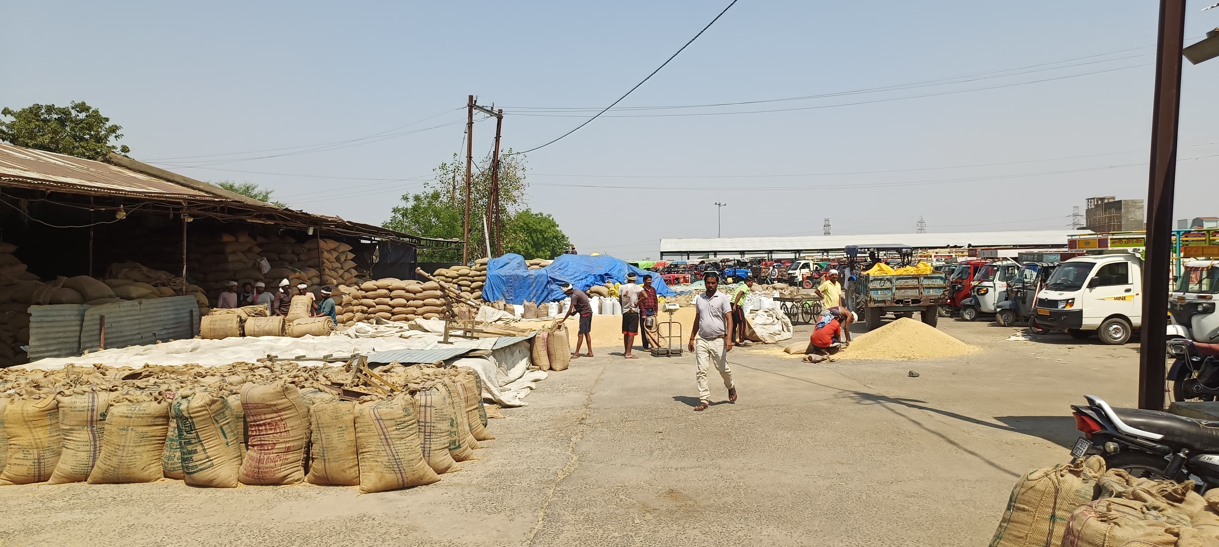 Even the reprimand of SDM did not have any effect, the wheat of the traders is being spread in half the premises in front of the shops