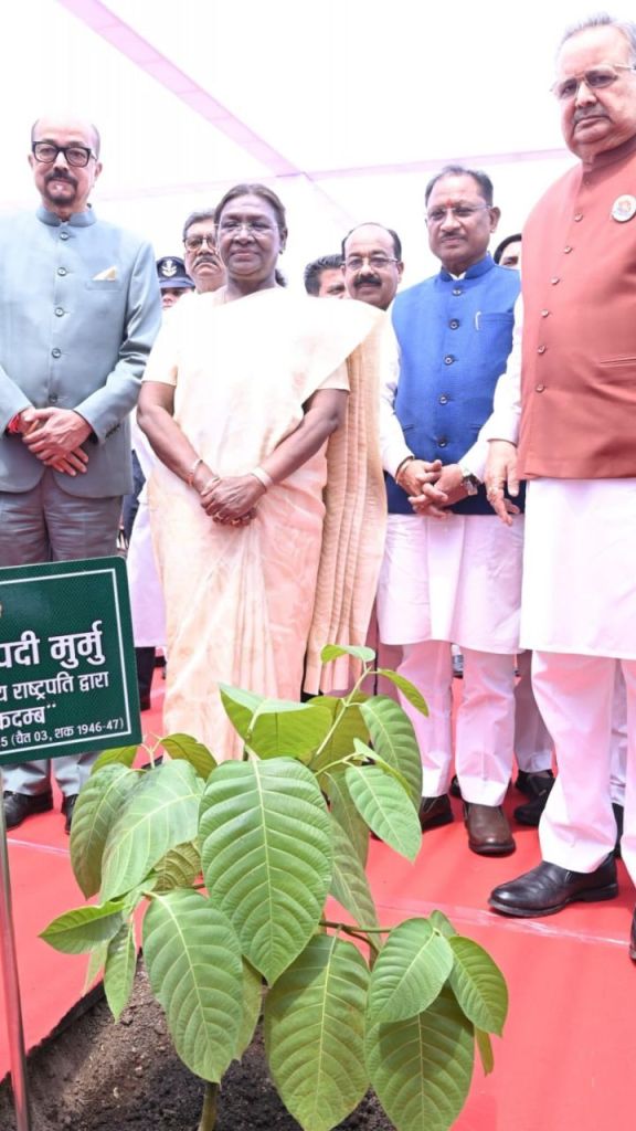 राष्ट्रपति द्रौपदी मुर्मू ने विधानसभा परिसर में किया कदम्ब का पौधरोपण, आगमन पर हुआ भव्य स्वागत