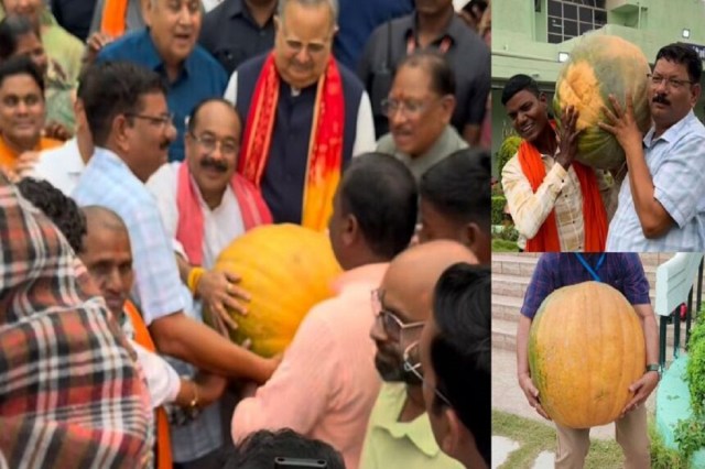 CG News: किसानों ने CM साय को भेंट किया 40 किलो का विशाल मखना, देखें तस्वीरें
