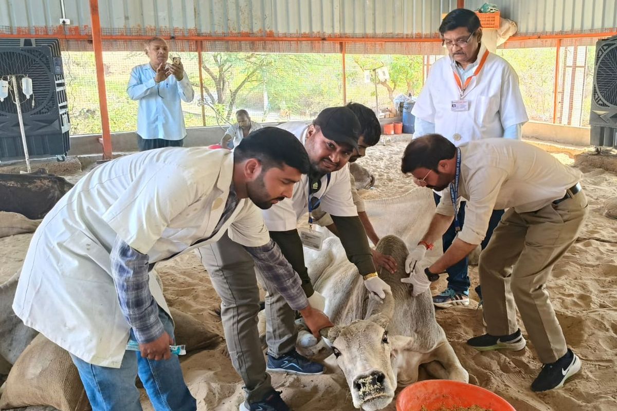 राजस्थान में दो करोड़ पशुओं के फिर लगाई जाएगी इस रोग से बचाव की वैक्सीन…पढ़े
पूरी खबर