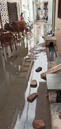स्वच्छता सर्वेक्षण टीम शहर में, फिर भी अफसर नहीं सुधार सके व्यवस्था - image