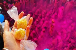 Mathura Holi Festival: मथुरा-वृंदावन में 40 दिन तक चलेगा रंगोत्सव, लड्डू होली और
लट्ठमार होली के लिए तैयारियां पूरी - image