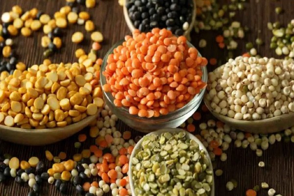 एग्जाम के समय बच्चों की डाइट में शामिल करिए ये फूड, रॉकेट की रफ्तार से बढ़ेगी मेमोरी, छत्तीसगढ़ की न्यूट्रिशनिस्ट ने दिए Tips