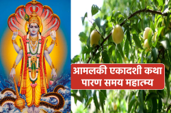 Amalaki Ekadashi: आमलकी एकादशी पर 2 दुर्लभ योग में होगी सृष्टि के पहले वृक्ष की
पूजा, आमलकी एकादशी कथा से मिलता है धन वैभव - image