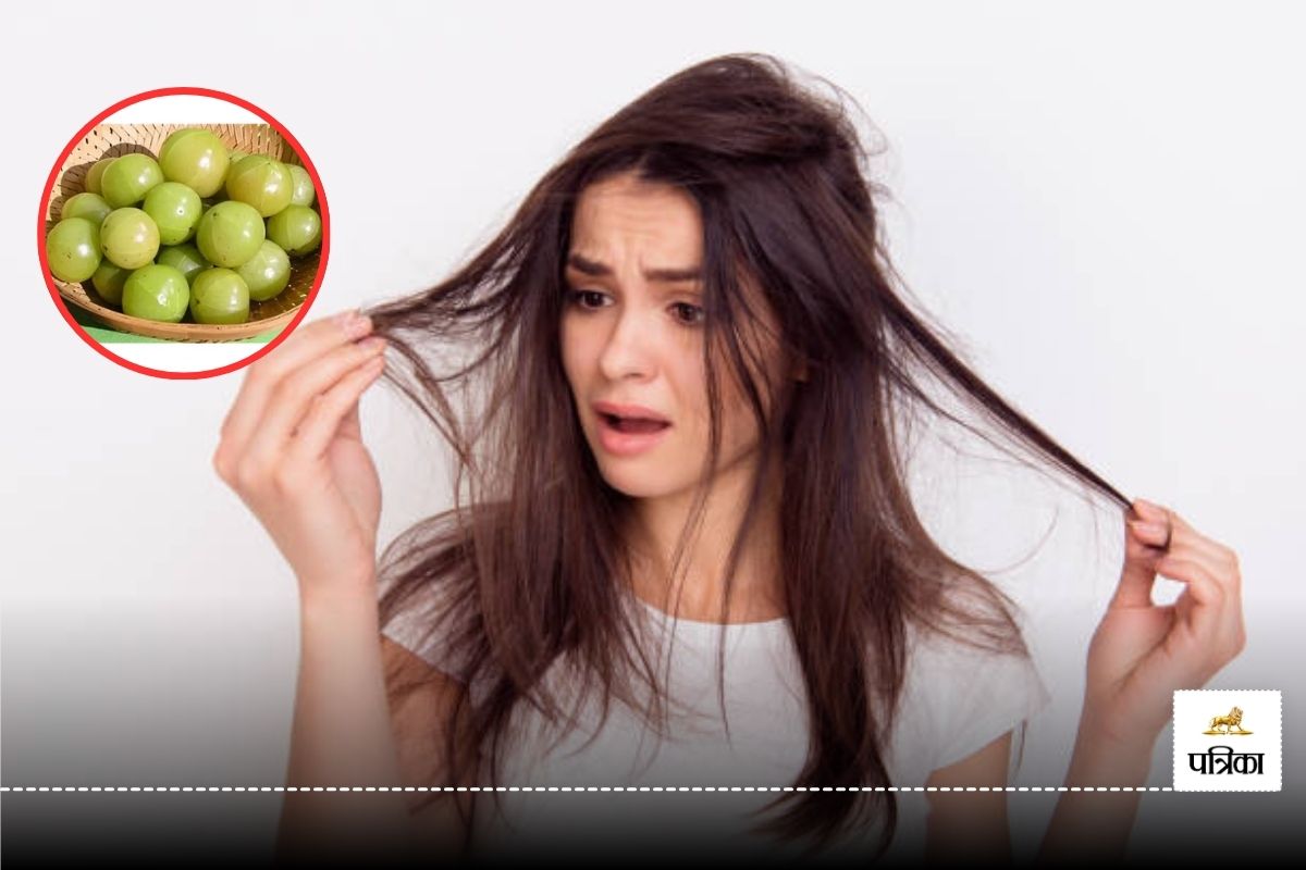 Amla Effects On Hair: बालों में आंवला लगाते समय जरूर बरतें कुछ सावधानियां नहीं
तो हो सकते हैं ये 4 बड़े नुकसान