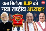 BJP National President Election