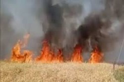 Balod Fire News: खेतों की सफाई करने लगाई थी आग, देखते ही देखते घरों तक पहुंच
गया, फिर… गांव में मचा हड़कंप - image