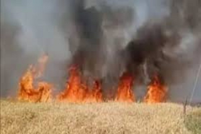 Balod Fire News: खेतों की सफाई करने लगाई थी आग, देखते ही देखते घरों तक पहुंच गया, फिर… गांव में मचा हड़कंप