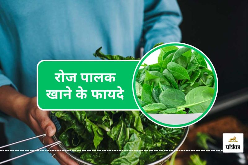 What Happens to Your Body When You Eat Spinach Every Day Benefits of Eating Spinach Daily