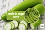 Benefits of Lauki in Controlling Diabetes and Cholesterol