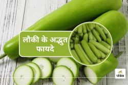 Benefits of Lauki : डायबिटीज और कोलेस्ट्रॉल कंट्रोल में सहायक लौकी के फायदे - image