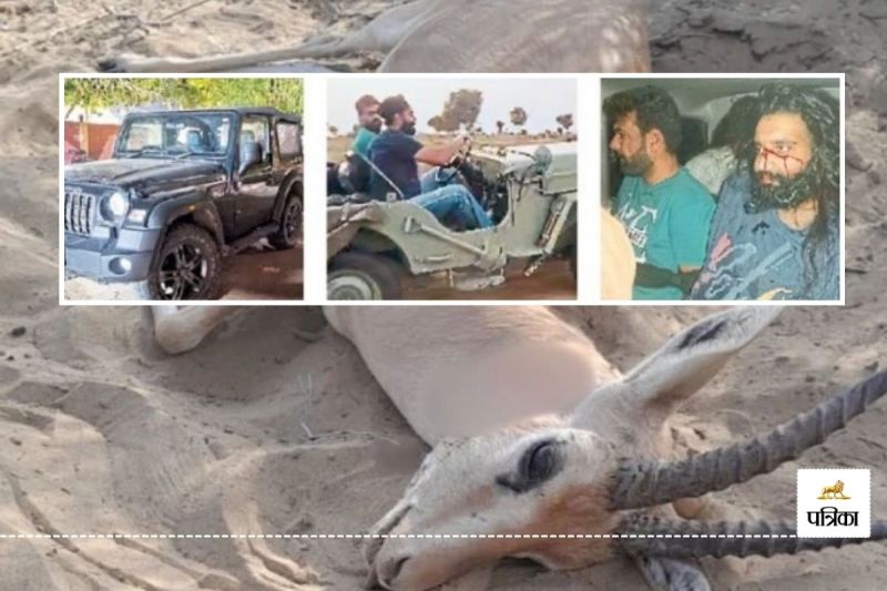 Punjab Youth Hunted Deer in Rajasthan Animal Lovers Angry Bikaner Police Arrested 6 Hunters