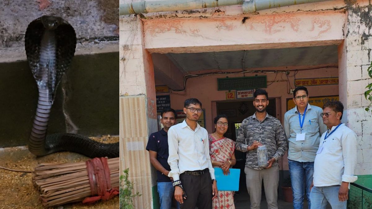 Cobra Disrupts Rajasthan Board Exams