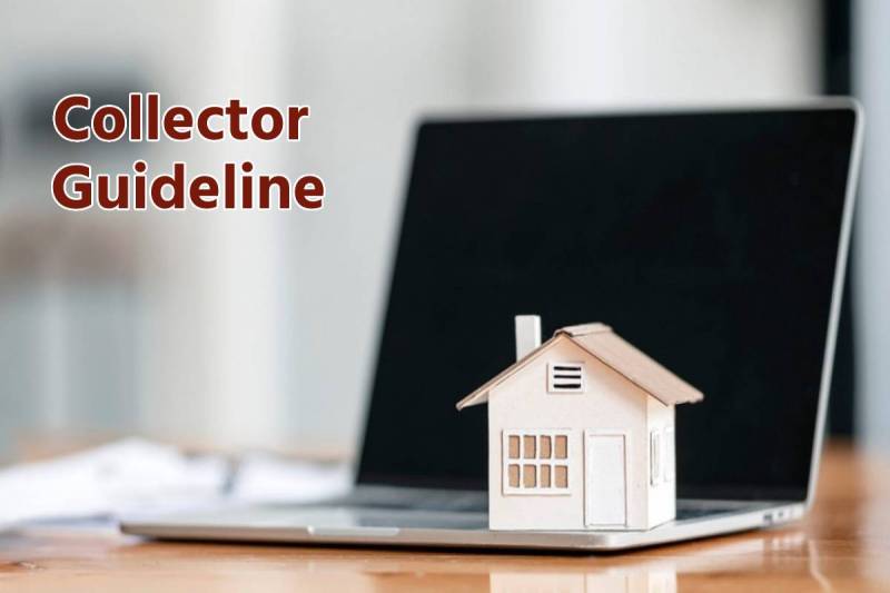 Collector Guideline