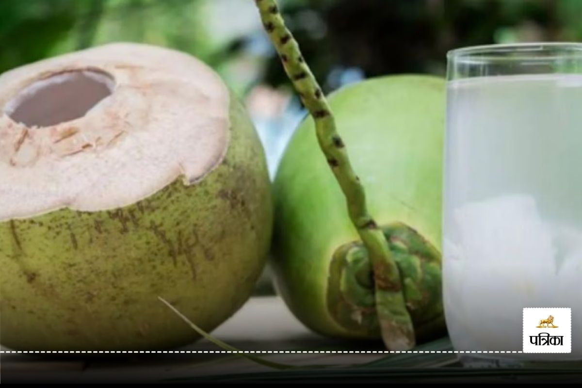 CG News: रोज तीन लाख का नारियल पानी पी रहे शहरवासी, तमिलनाडु-कर्नाटक से रही आवक