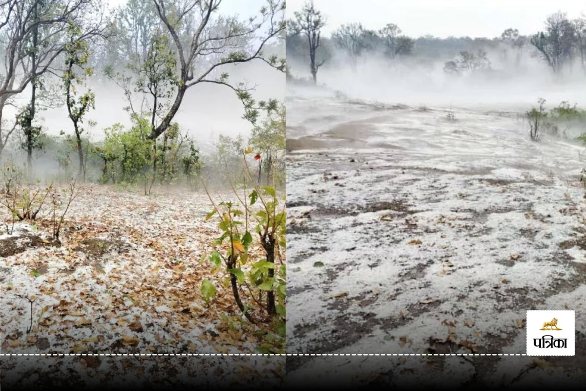 CG Weather Update: मौसम में आएगा बदलाव! गर्म हवाओं के बाद ओलावृष्टि की संभावना..